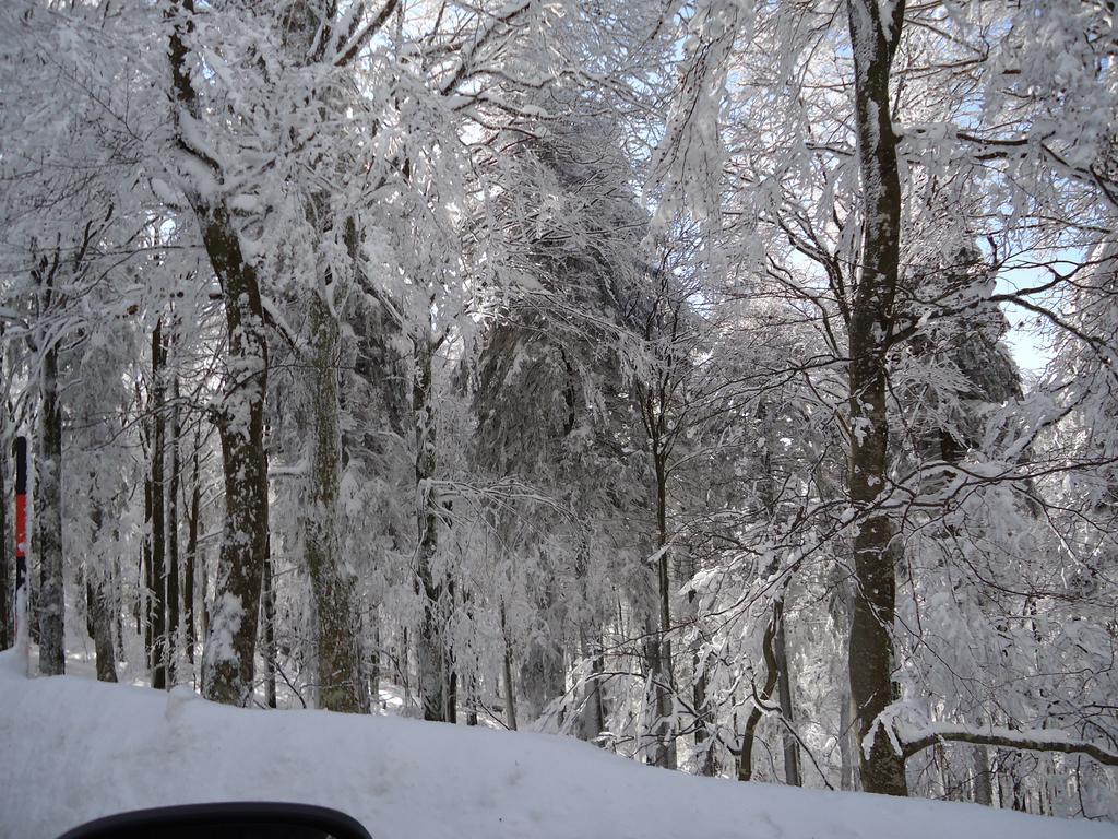 Berghotel Schiller Schonach im Schwarzwald Exteriör bild
